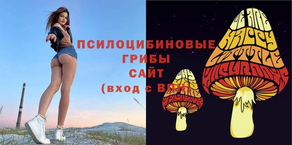 наркотики Абаза
