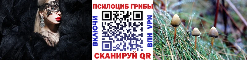 MEGA ССЫЛКА  Керчь  Галлюциногенные грибы Psilocybe 